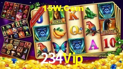 234Vip